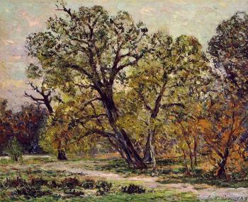 馬尅西姆 莫福拉 Autumn, Fontainebleau Forest 馬尅西姆 莫福拉 Autumn, Fontainebleau Forest